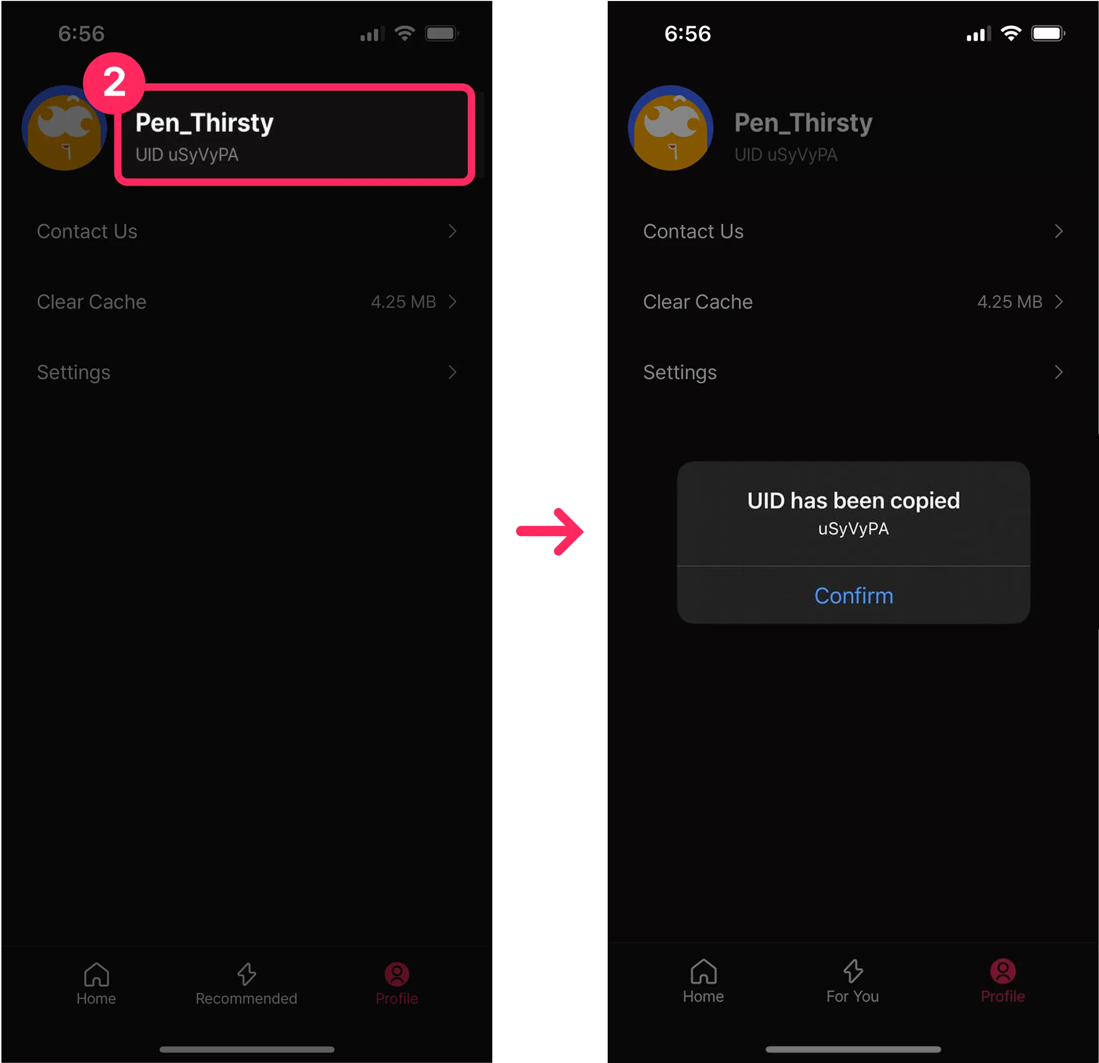 2 guide image