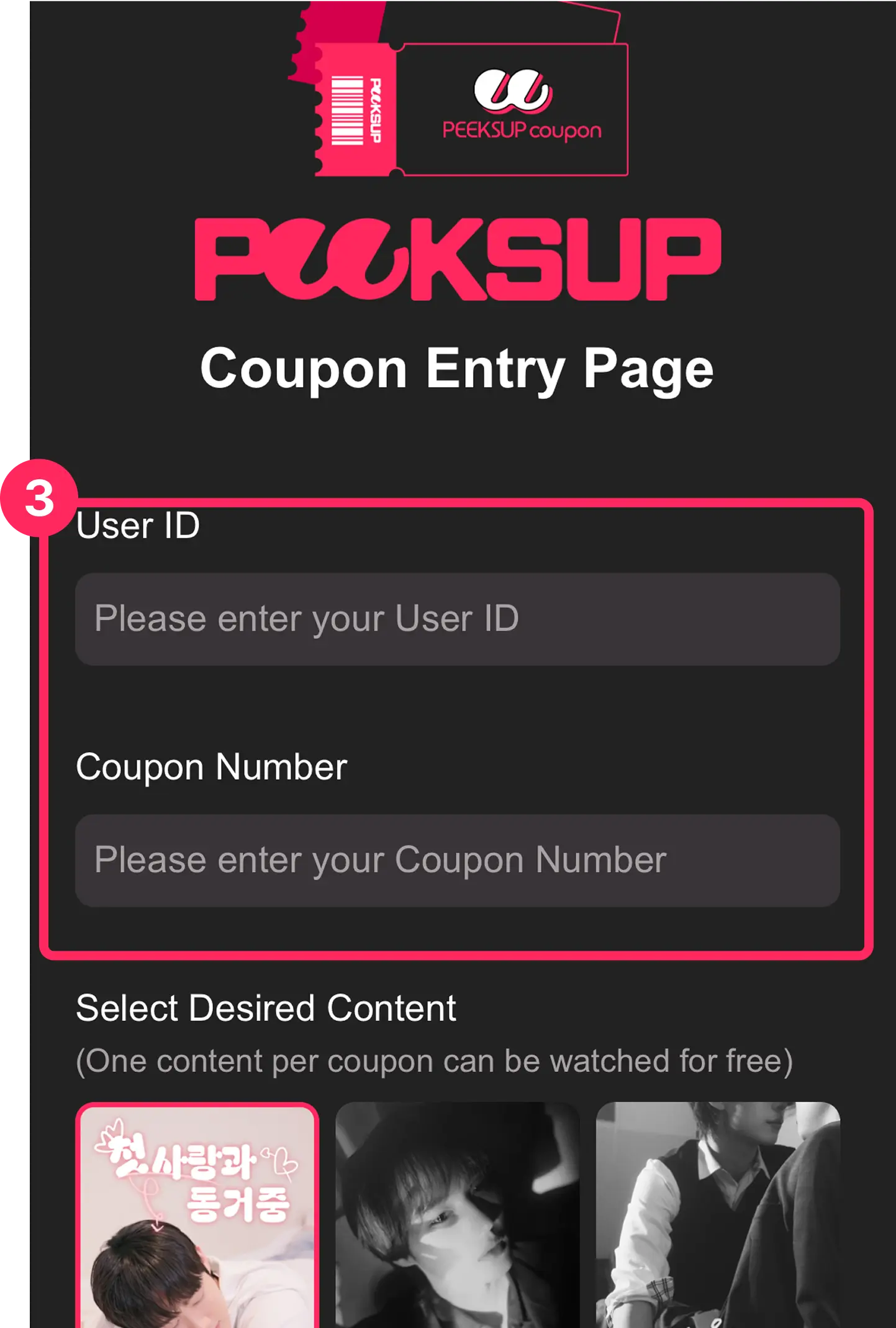 3 guide image